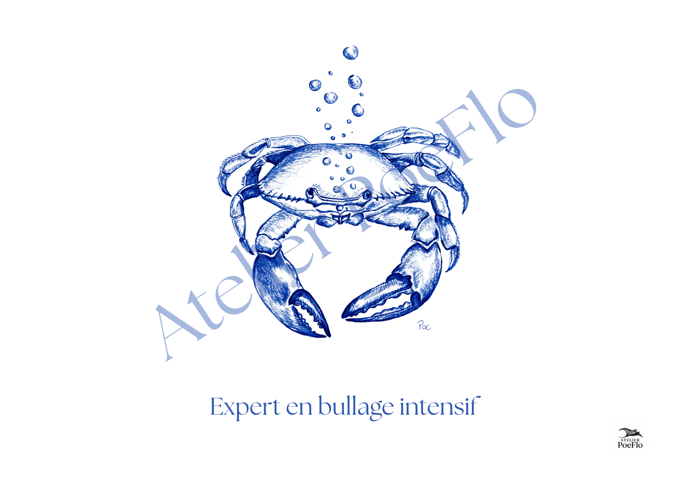 Expert en bullage intensif